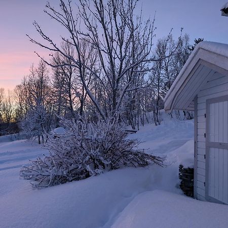 Cabin Magic On Senja, Atmosphere Like A Fairytale Botnhamn Exterior foto