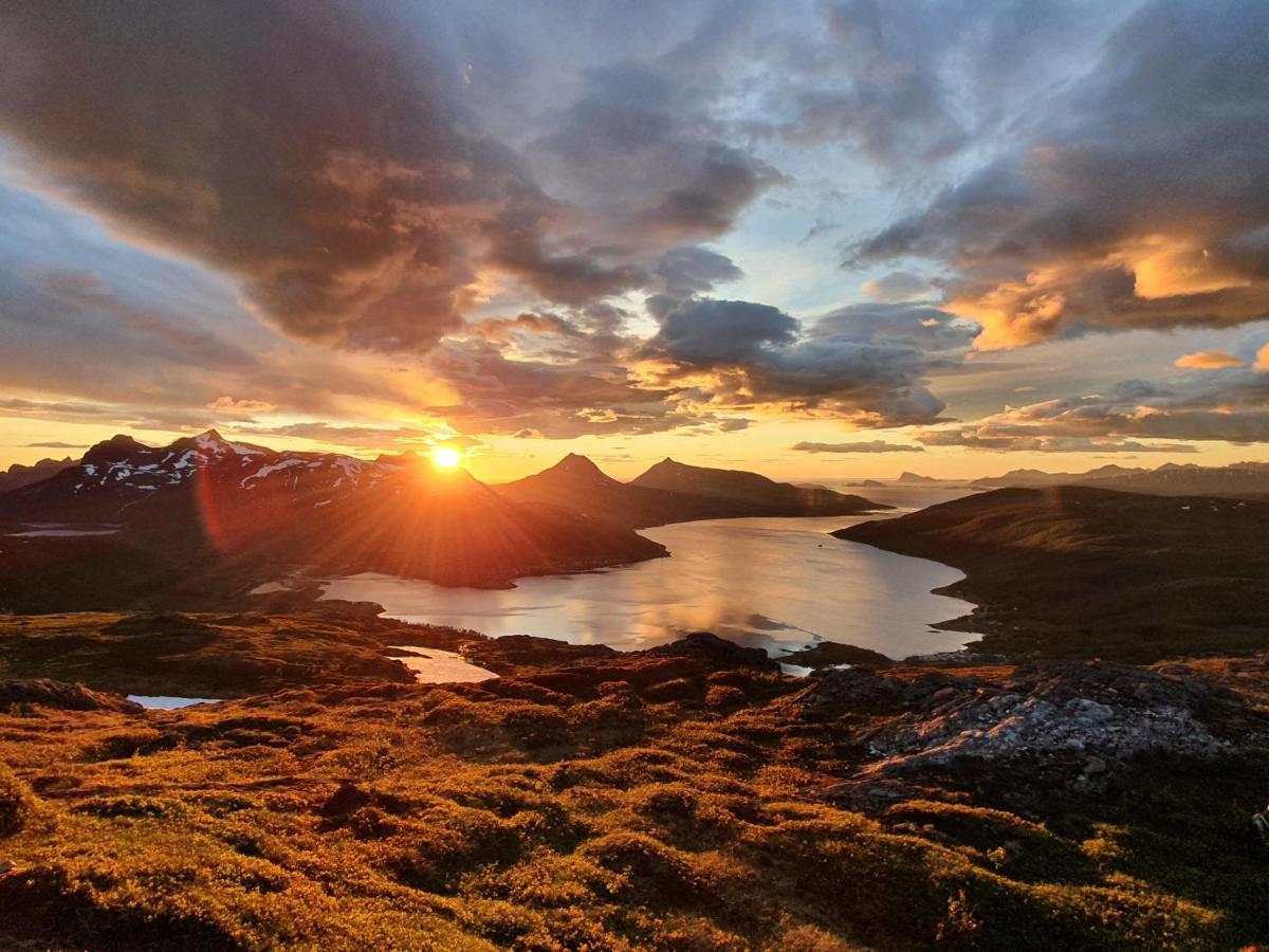 Cabin Magic On Senja, Atmosphere Like A Fairytale Botnhamn Exterior foto