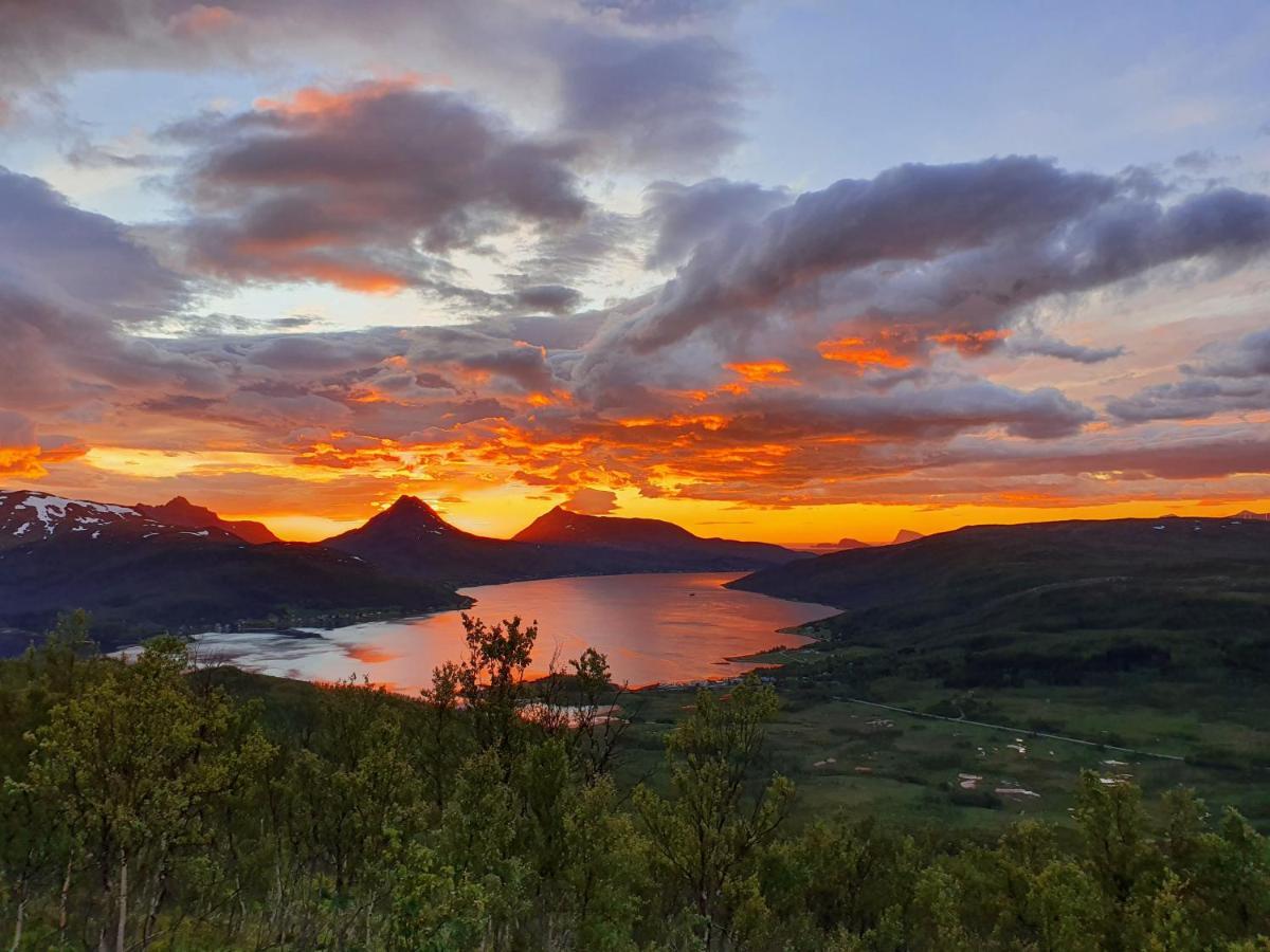Cabin Magic On Senja, Atmosphere Like A Fairytale Botnhamn Exterior foto