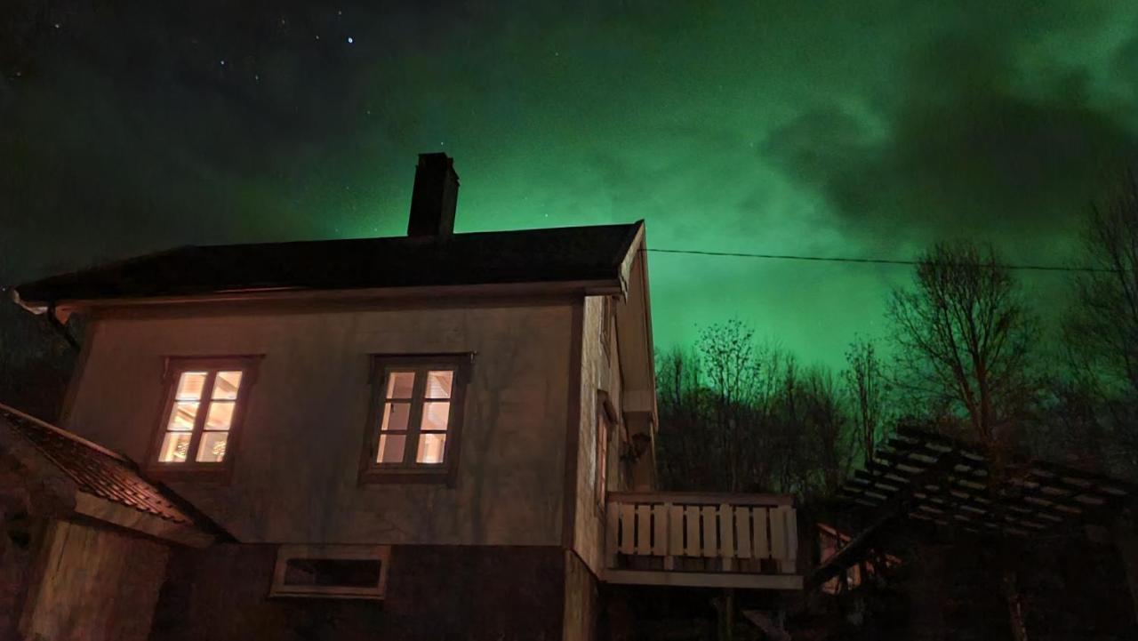 Cabin Magic On Senja, Atmosphere Like A Fairytale Botnhamn Exterior foto