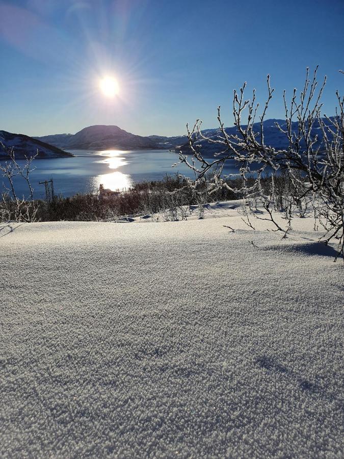 Cabin Magic On Senja, Atmosphere Like A Fairytale Botnhamn Exterior foto