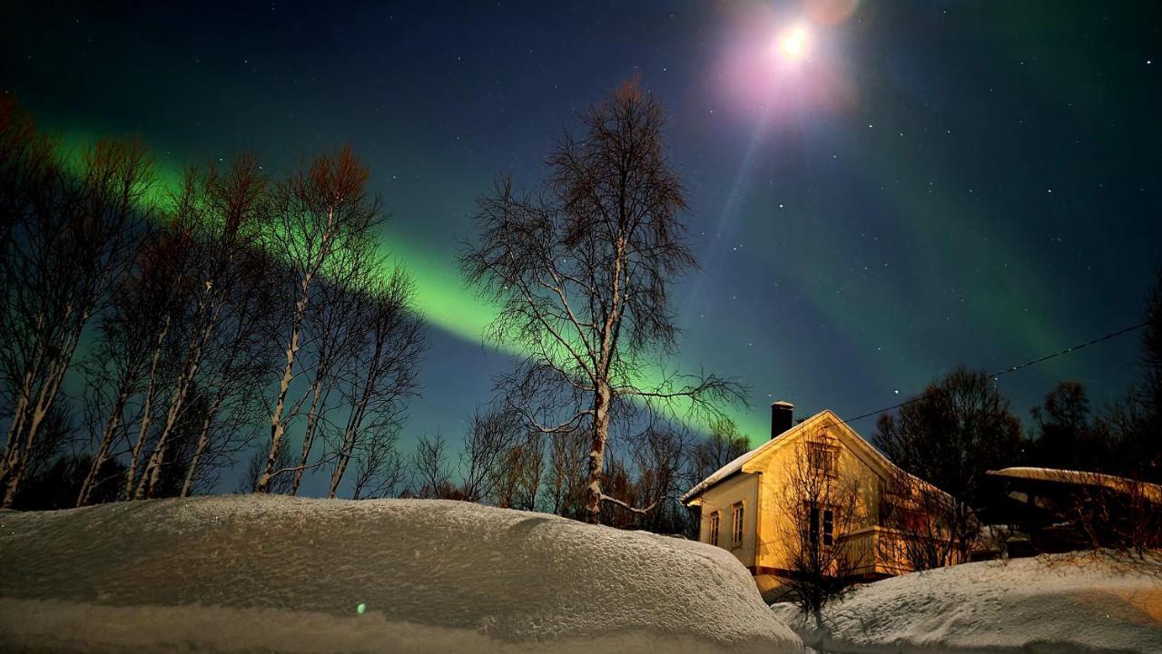 Cabin Magic On Senja, Atmosphere Like A Fairytale Botnhamn Exterior foto