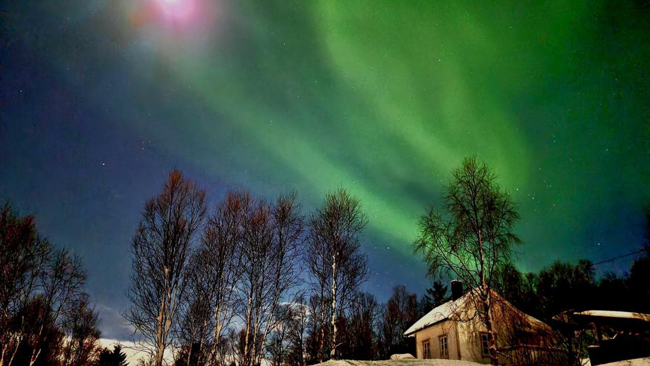 Cabin Magic On Senja, Atmosphere Like A Fairytale Botnhamn Exterior foto