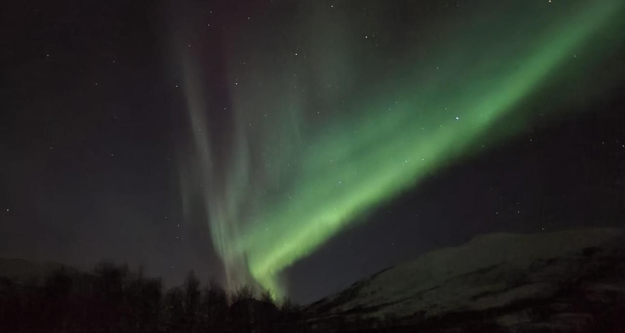 Cabin Magic On Senja, Atmosphere Like A Fairytale Botnhamn Exterior foto