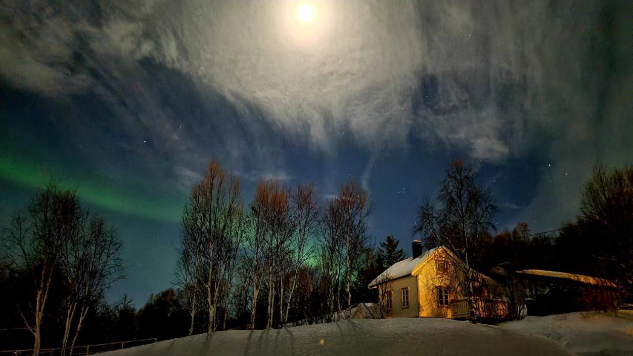 Cabin Magic On Senja, Atmosphere Like A Fairytale Botnhamn Exterior foto