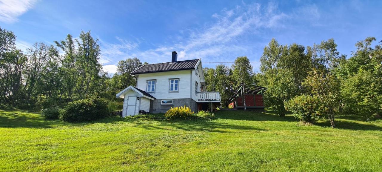 Cabin Magic On Senja, Atmosphere Like A Fairytale Botnhamn Exterior foto