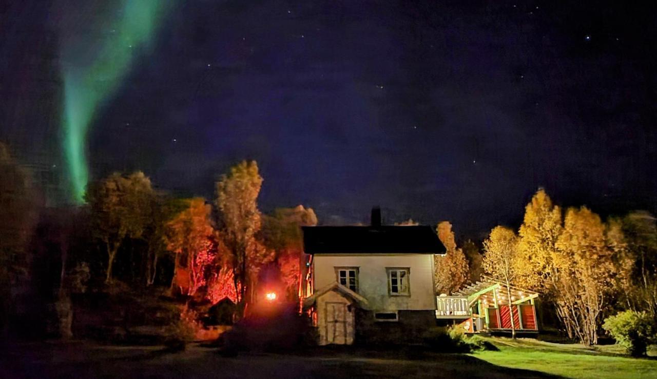 Cabin Magic On Senja, Atmosphere Like A Fairytale Botnhamn Exterior foto