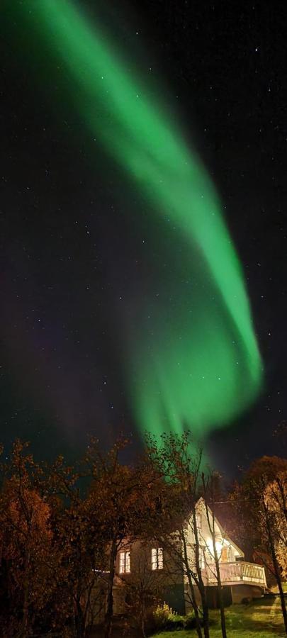 Cabin Magic On Senja, Atmosphere Like A Fairytale Botnhamn Exterior foto