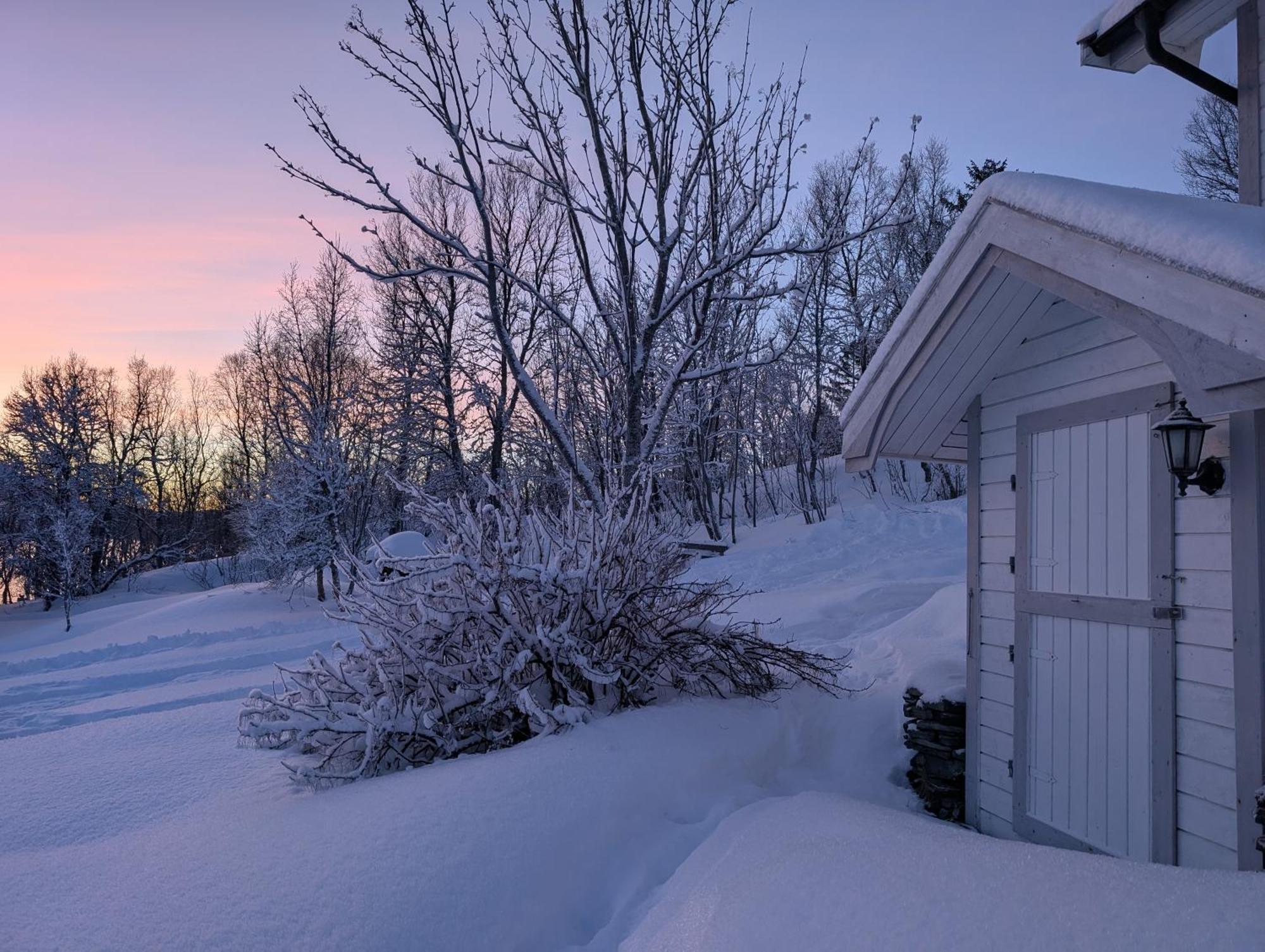 Cabin Magic On Senja, Atmosphere Like A Fairytale Botnhamn Exterior foto